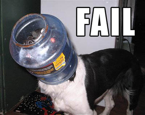A FAIL picture awaiting your vote